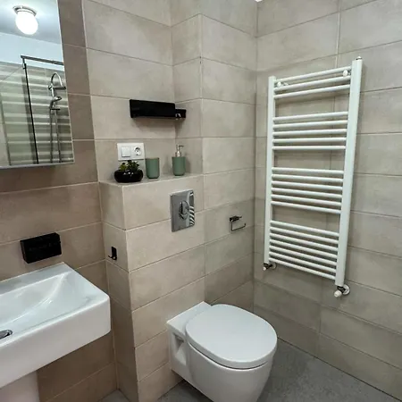 Collection At Coresi Brassó