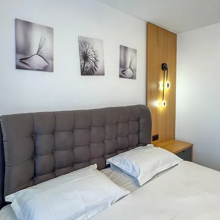 Apartman Collection At Coresi